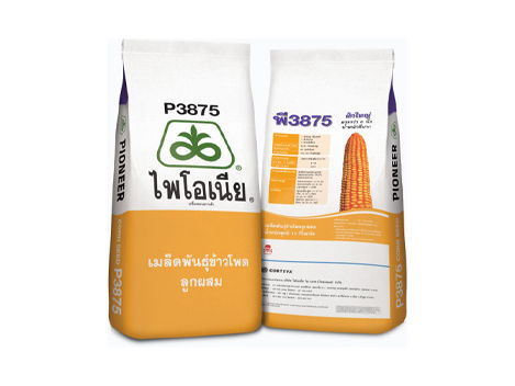 ไพโอเนีย P3875