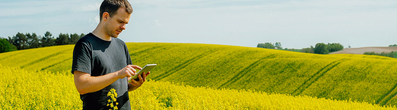 Clearfield® Canola