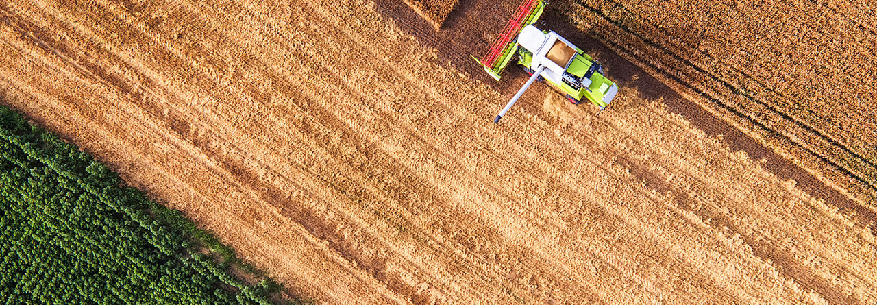 Aerial view of combine on harvest field