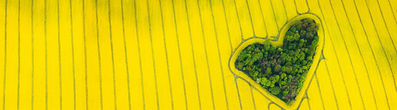 100 ans d’ancrage local pour construire l’avenir de l’agriculture 