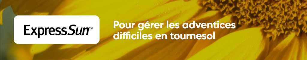 Bannière Marque
