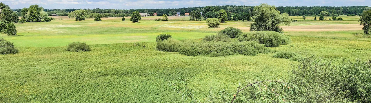 SNBC 3 : une nouvelle trajectoire climatique à tenir pour 2050 