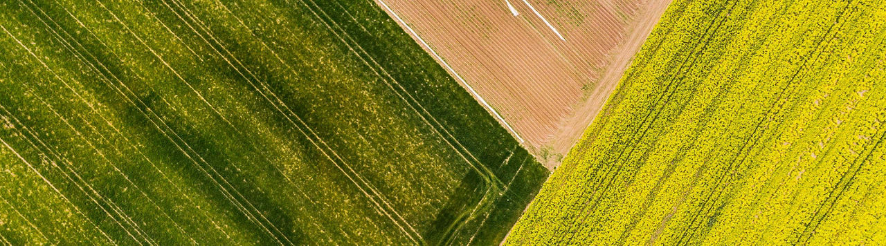 Suivez Place des Agriculteurs sur Instagram, une dose d’agri positive chaque mois