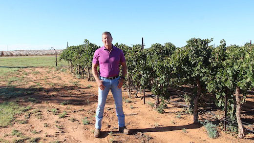 cotton farmer Steve Newsom