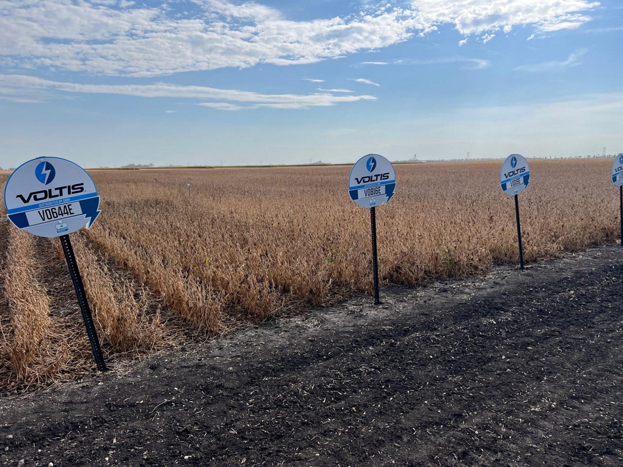 Voltis Soybean Field Signs