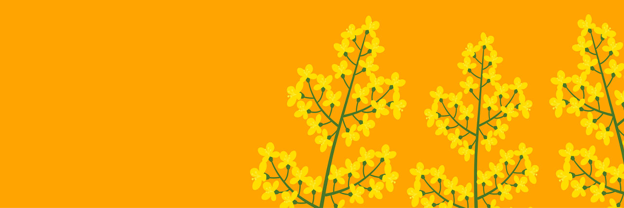 canola graphic