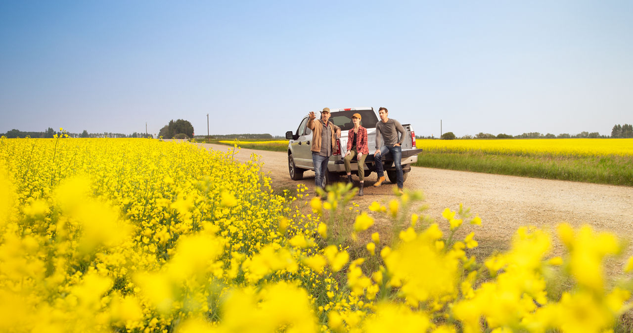 truck in canola field