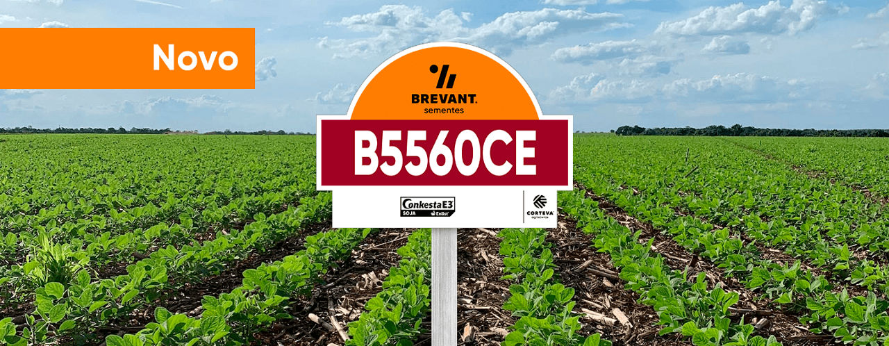 placa_soja_B5560CE