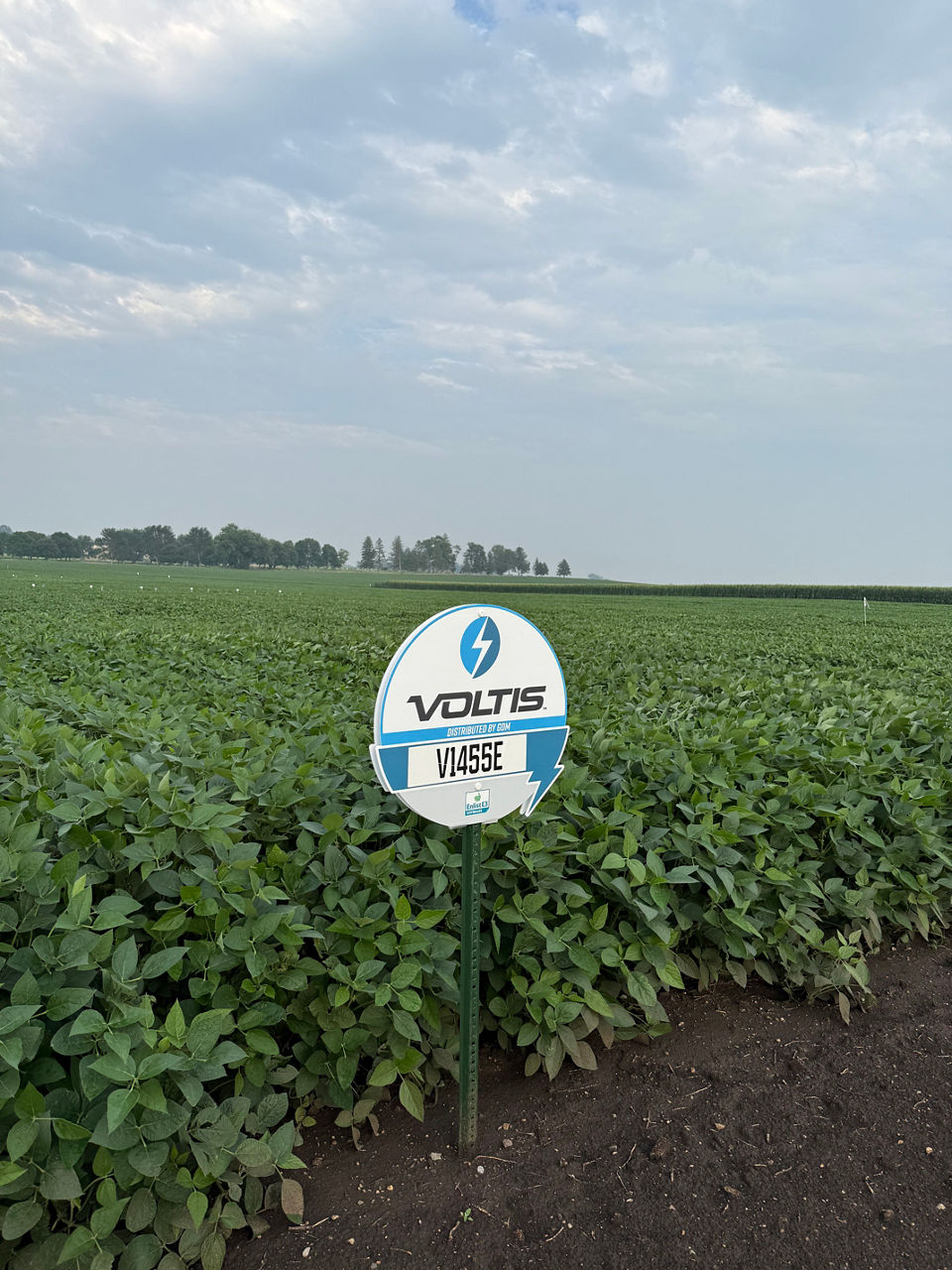Voltis Field Sign