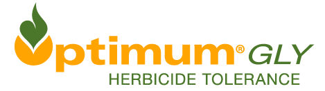 Optimum Gly Logo