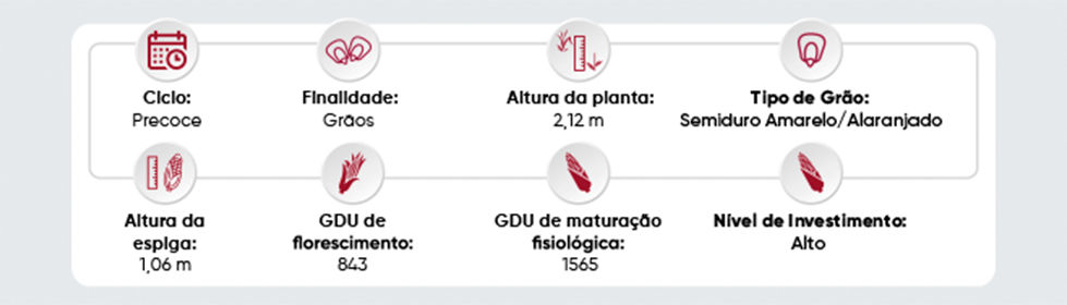 Tabela com informações técnicas como ciclo,  finalidade, altura da planta, tipo de grão, altura da espiga, gdu de florescimento, gdu de maturação fisiológica, nível de investimento sobre o hibrido B2817PWU  brevant.